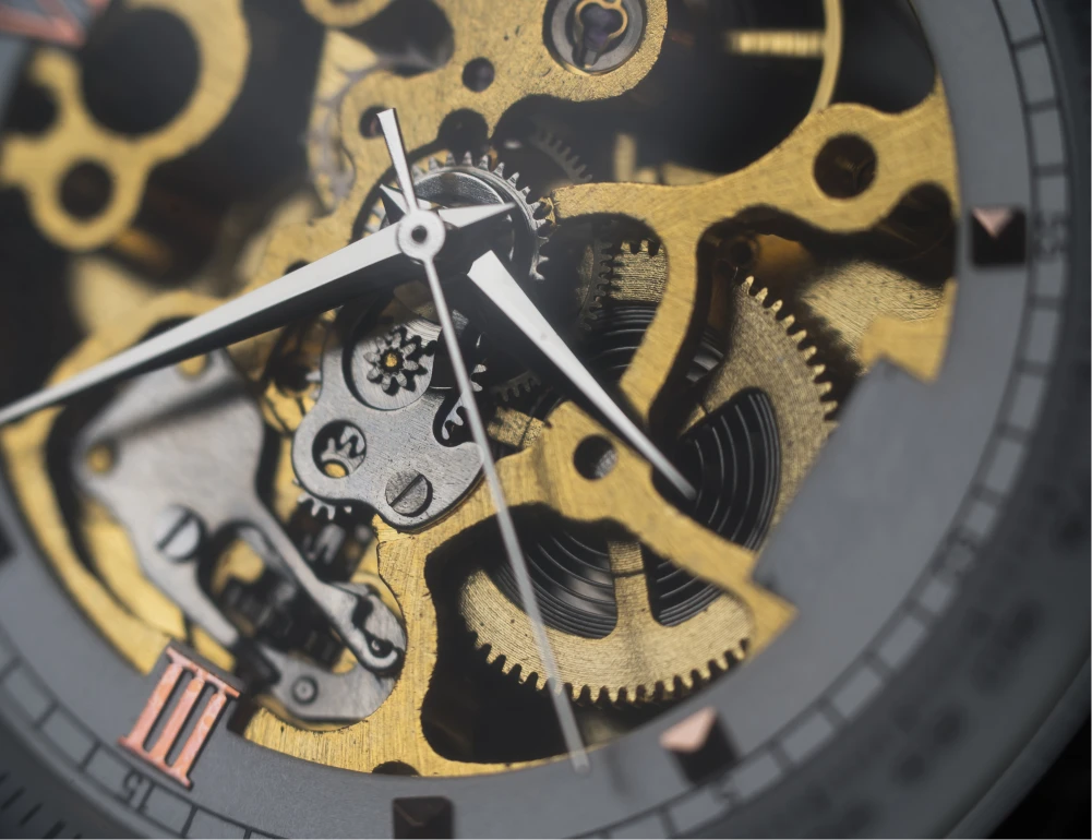 Dettaglio tecnico di evolast® FFKM O ring